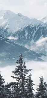 Snowy mountain landscape with pine trees and cloudy skies.