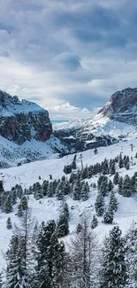 Snowy mountain landscape with frosted trees and a blue sky.