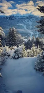 Snowy mountain landscape with evergreen trees and blue sky