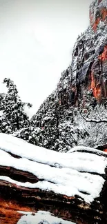 Snowy mountain with cliffs and evergreen trees, perfect for a phone wallpaper.