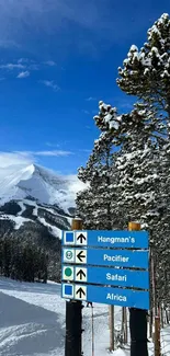 Snowy mountain landscape with blue sky and tall pine trees.