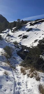 Snowy mountain path under a clear blue sky.