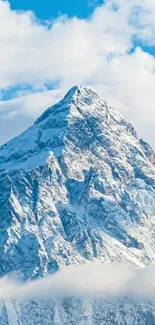 Snow-covered mountain under blue sky wallpaper.