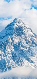 Majestic snowy mountain peak under a clear blue sky.