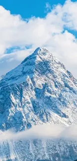 Snow-covered mountain peaks against a bright blue sky.