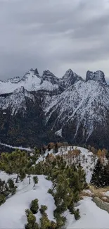 Majestic snow-capped mountains and evergreens in a scenic landscape.