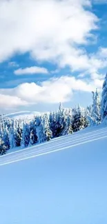 Serene snowy mountain scene with frosted trees and blue skies.