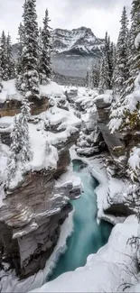 Breathtaking snowy mountain river scene with frosty forest and blue water.