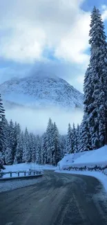 Snowy road winding through a winter mountain landscape with frosty trees.