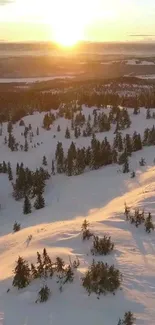 Sunrise over snowy mountains creating a warm, golden glow.