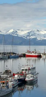 Boats docked near snowy mountains on a clear day.