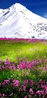 Snowy mountains with pink flowers in a green field.