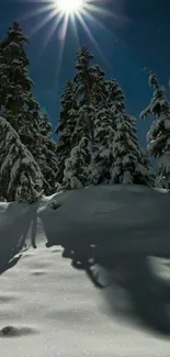 Moonlit snowy forest with tall trees at night.