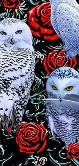 Snowy owls and red roses artistic wallpaper.