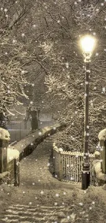 Serene snowy path lit by a lamp post in winter night.