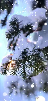 Snowy pine branch with falling snowflakes.