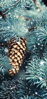 Snow-dusted pine cone among teal branches.