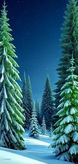 Snowy pine trees under a starry night sky.