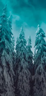 Snow-covered pine trees under a teal sky wallpaper.