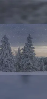 Snowy pine trees in a serene winter forest landscape.