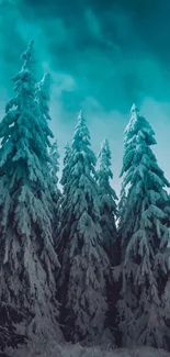 Snowy pine trees under a teal sky, capturing the essence of winter nature.