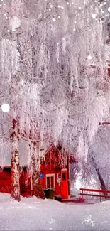 Snow-covered forest with a red cabin.