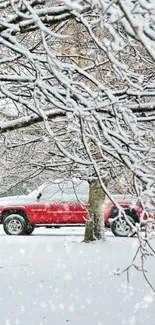 Snowy landscape with a red car under tree branches.