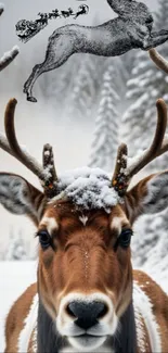 Reindeer with antlers in snowy forest.