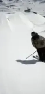 Skier on snowy slope, mountain background.