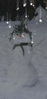 Charming snowman under starry winter night sky.