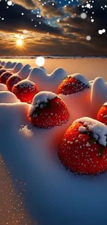 Red strawberries dusted with snow under a glowing sunset.