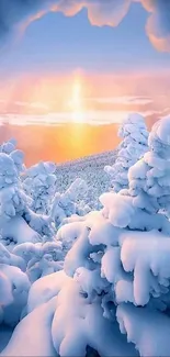 Serene snowy landscape with sunrise on mobile screen.