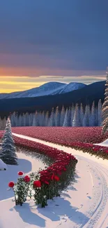 Snowy landscape at sunrise with red flower path and mountain view.