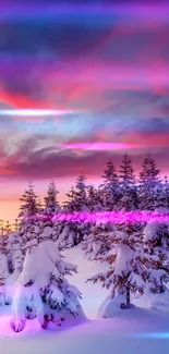 Snowy pine trees at sunset with a vibrant purple sky.