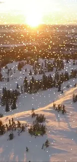 Golden sunset over a snowy landscape with pine trees.