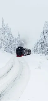 Steam train traverses snowy landscape in winter.