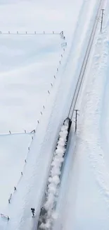 Aerial view of a train moving through a snowy landscape.