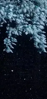 Snow-covered tree and starry night sky wallpaper.