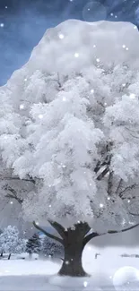 Snow-covered tree in winter landscape.