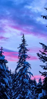 Snowy trees silhouette at sunset with purple and pink sky.