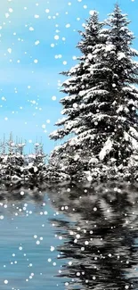 Snowy trees reflected on a serene lake in winter landscape.