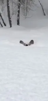 Dog peeking through deep snow in a winter forest landscape.