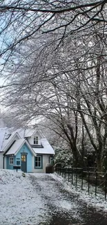 Snowy path leads to a charming winter cottage.