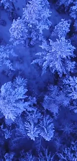 Aerial view of snow-covered forest in vivid blue hues, showcasing frosted trees.