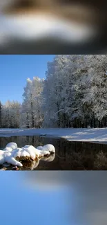 Snowy trees reflect in a calm winter river under a clear blue sky.