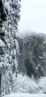 Snowy forest road with towering rock.