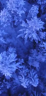 Aerial view of a snowy winter forest in cool blue tones.