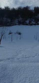 Serene snowy landscape with bare trees and dark hills.