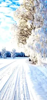 Snowy landscape with frosted trees under a vibrant blue sky.