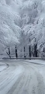 Snow-covered road winding through a winter forest scene.